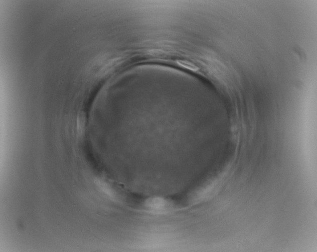 X0000115600231200911241601