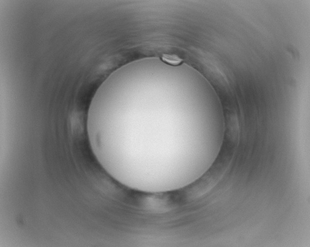 X0000115600232200911241601