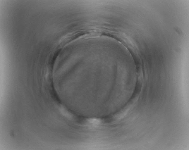 X0000115600233200911241601