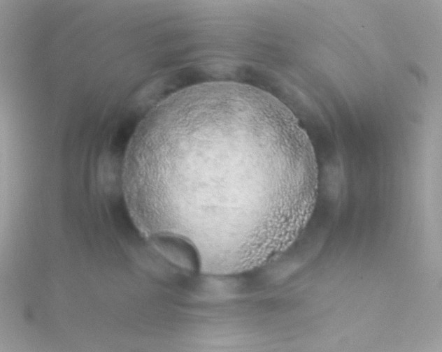 X0000115600234200911241601