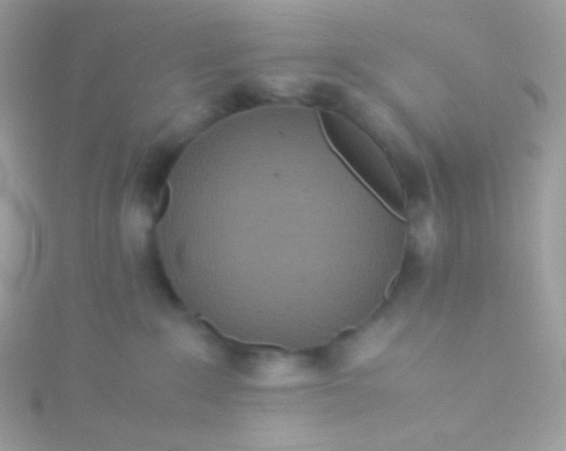 X0000115600235200911241601