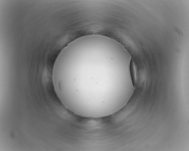 X0000115600236200911241601