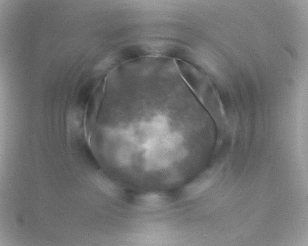 X0000115600237200911241601