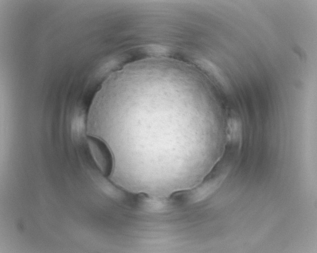 X0000115600238200911241601