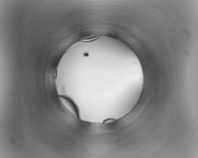 X0000115600240200911241601