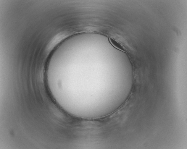 X0000115600242200911241600