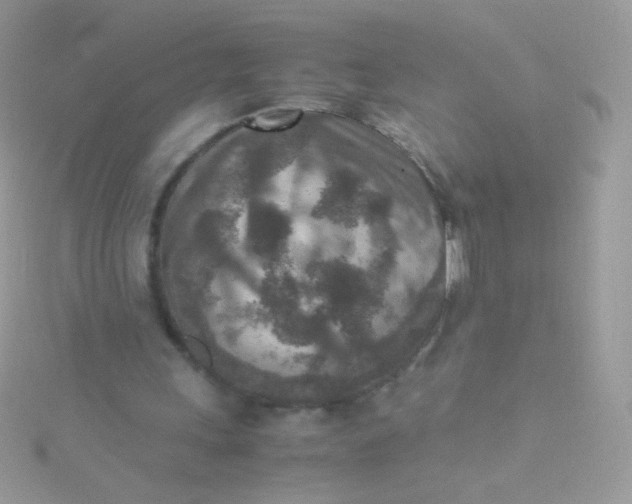 X0000115600243200911241600