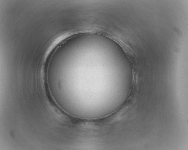 X0000115600244200911241600