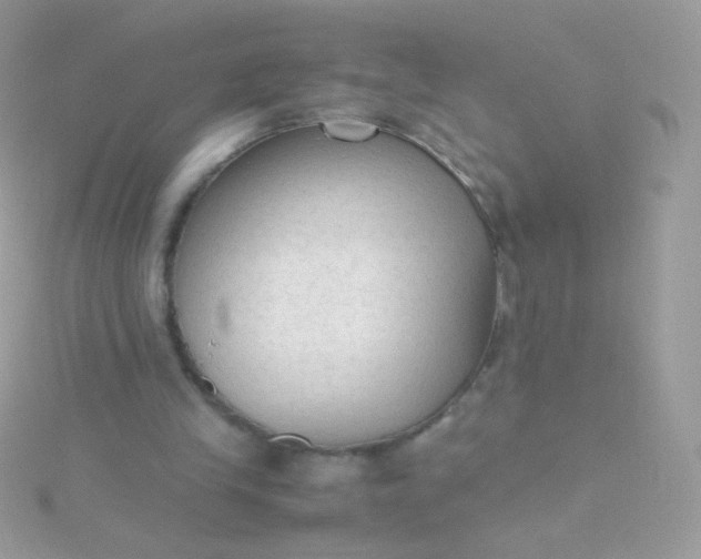 X0000115600245200911241600