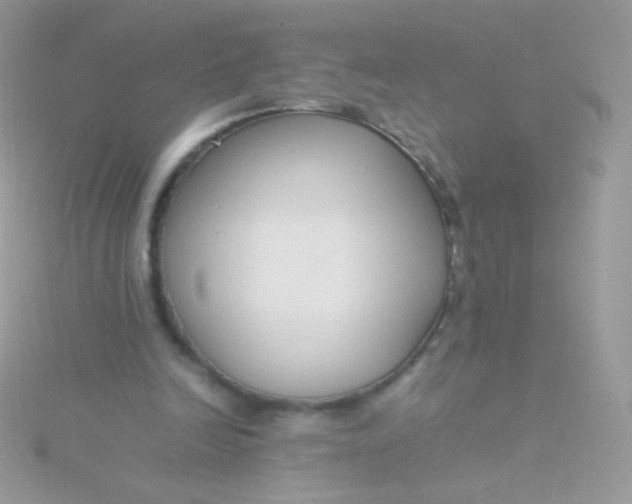 X0000115600246200911241600