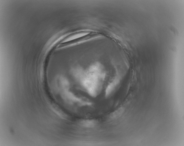 X0000115600247200911241600