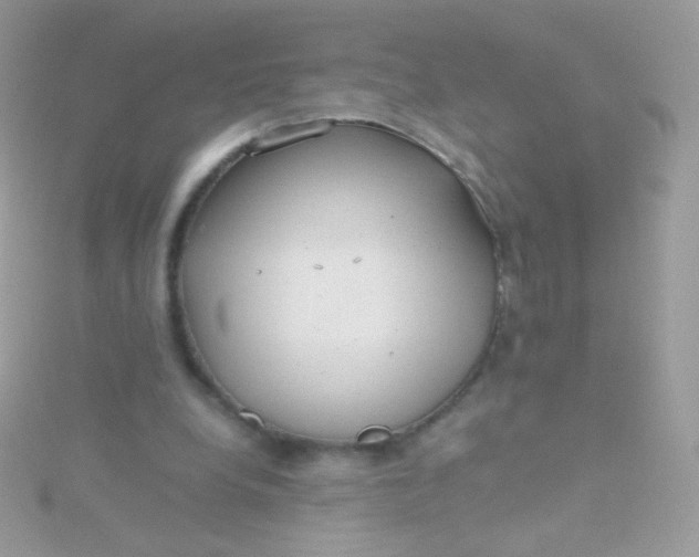 X0000115600248200911241600