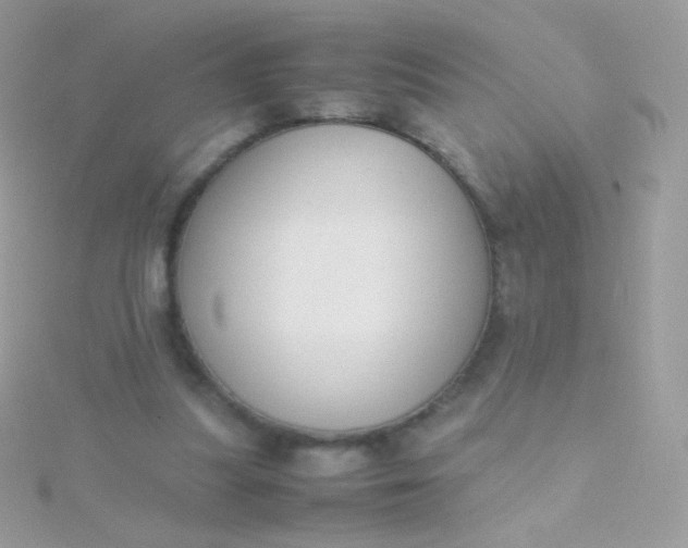 X0000115600251200911241600