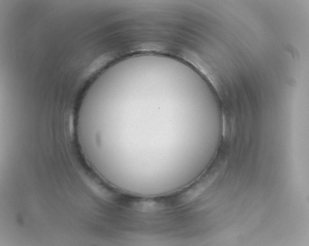 X0000115600253200911241601