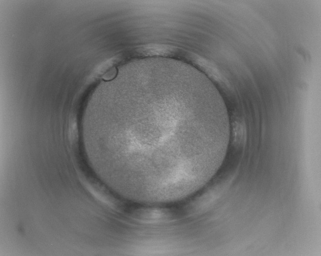 X0000115600254200911241601