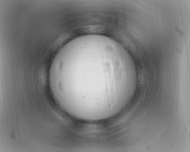 X0000115600255200911241601