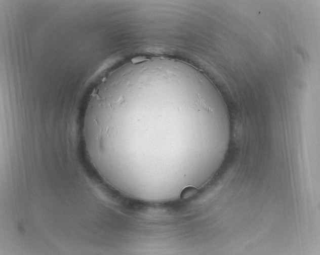 X0000115600256200911241601