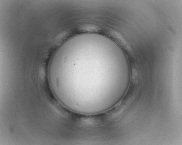 X0000115600259200911241601