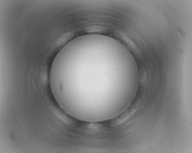 X0000115600261200911241601