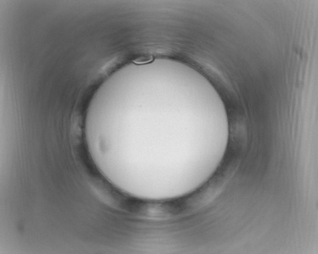 X0000115600264200911241601