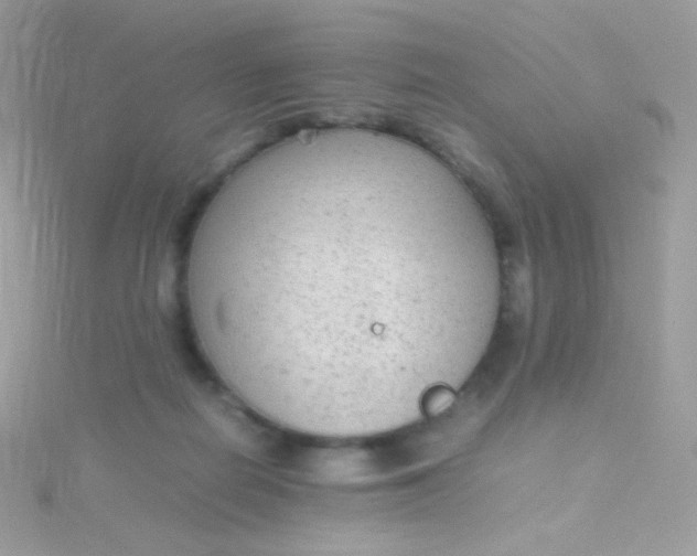 X0000115600266200911241601