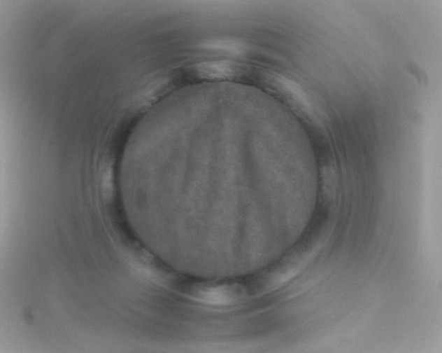 X0000115600267200911241601