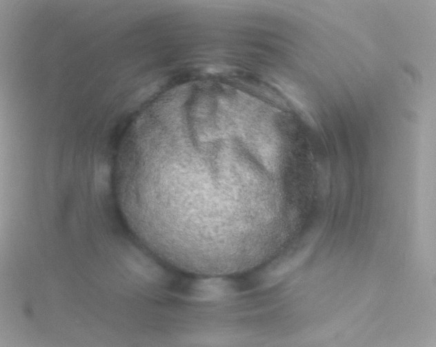 X0000115600269200911241601