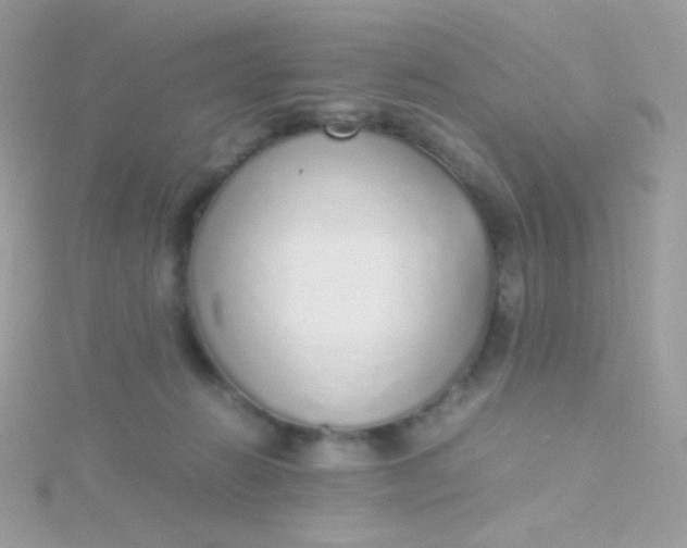 X0000115600270200911241601