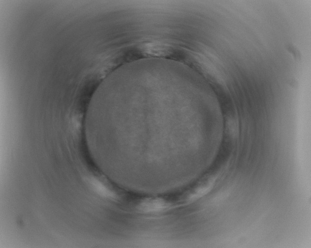 X0000115600271200911241601