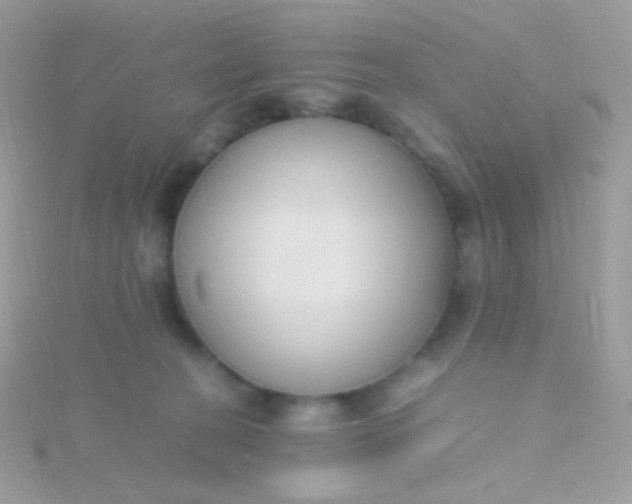 X0000115600274200911241601