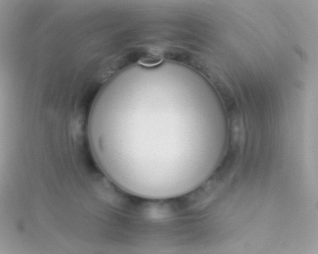 X0000115600275200911241601