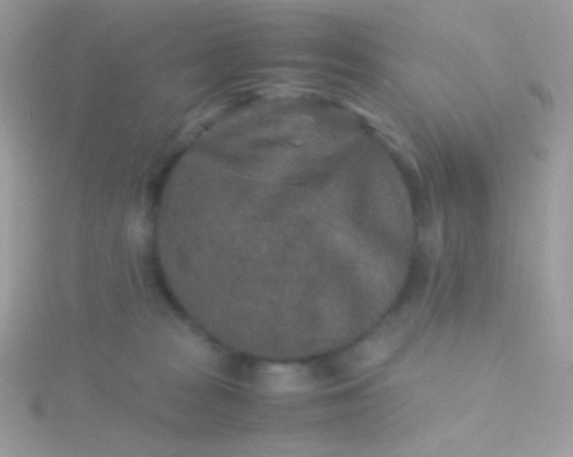 X0000115600277200911241601