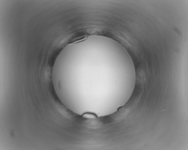 X0000115600280200911241601