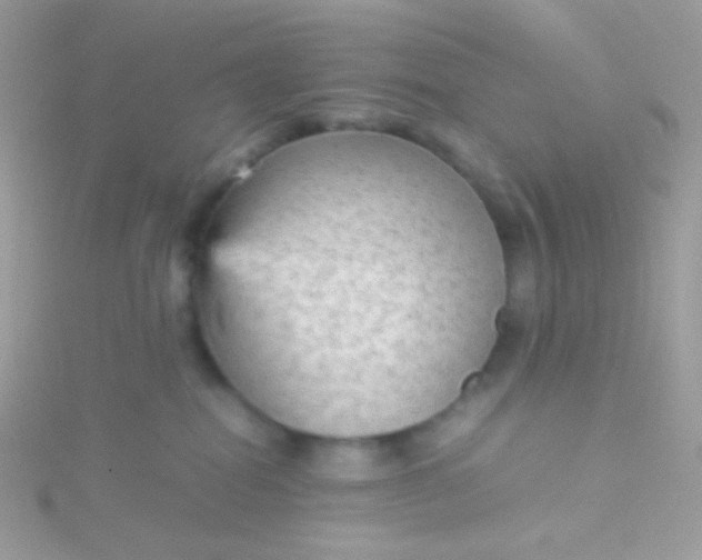 X0000115600282200911241601