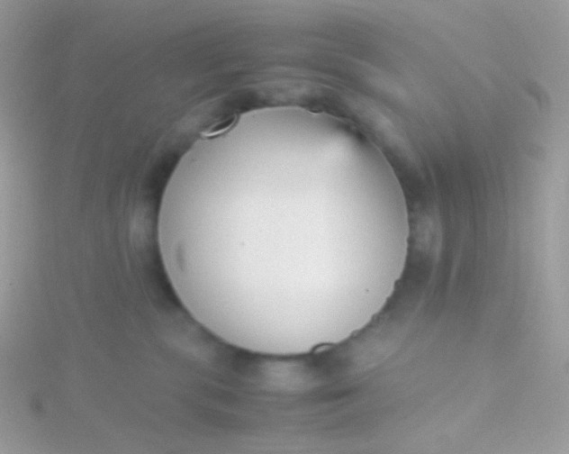 X0000115600283200911241601