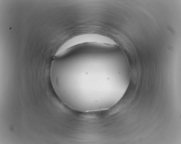 X0000115600284200911241601