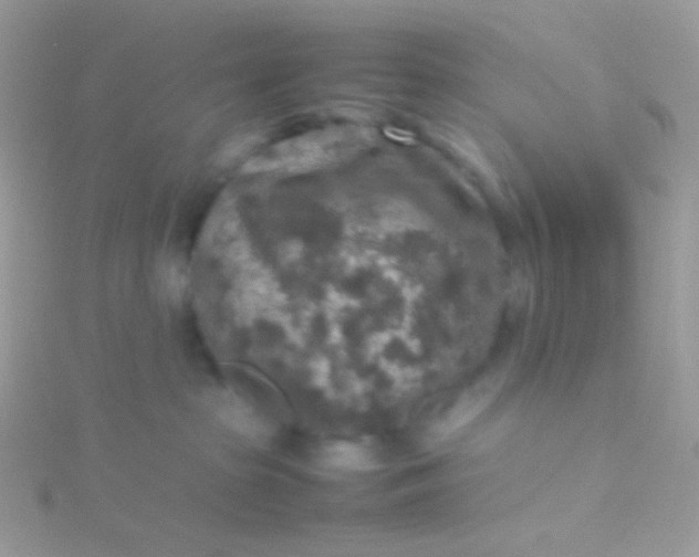 X0000115600285200911241601