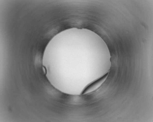 X0000115600287200911241601