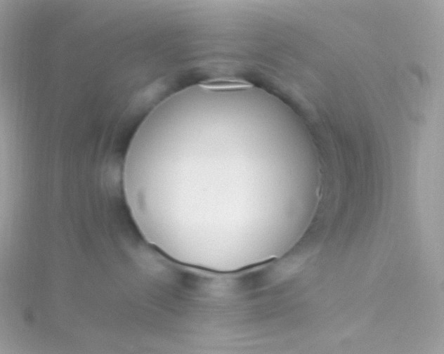 X0000115600288200911241601