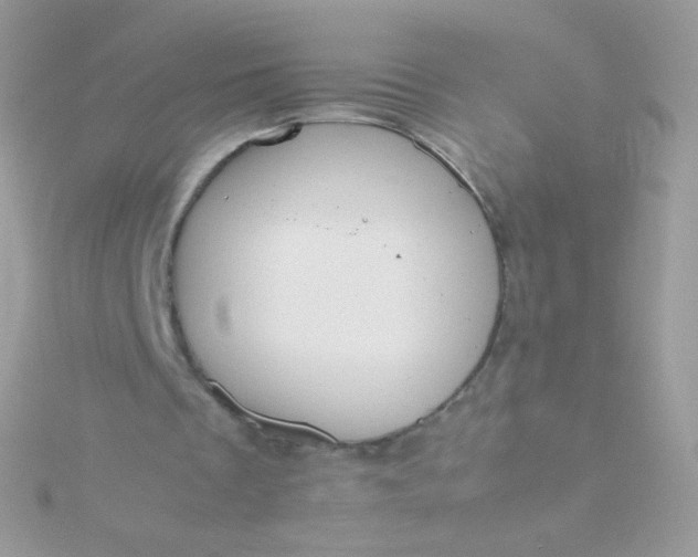 X0000115600289200911241600