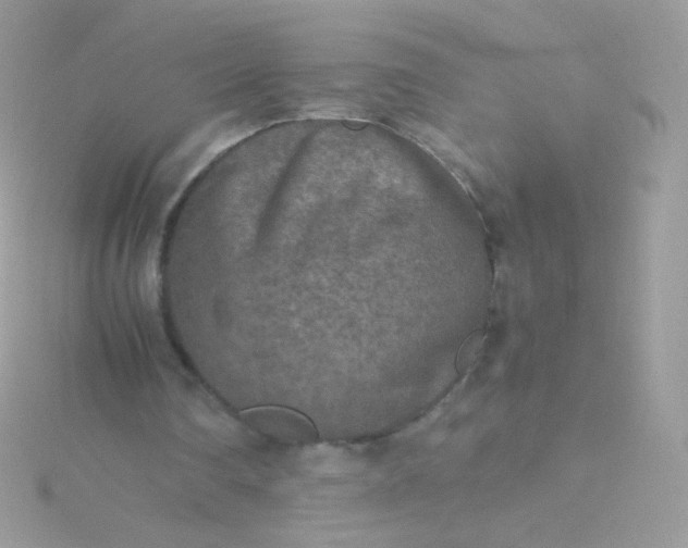 X0000115600290200911241600