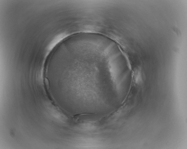 X0000115600292200911241600