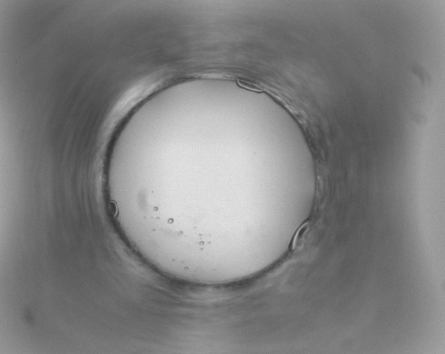 X0000115600293200911241600