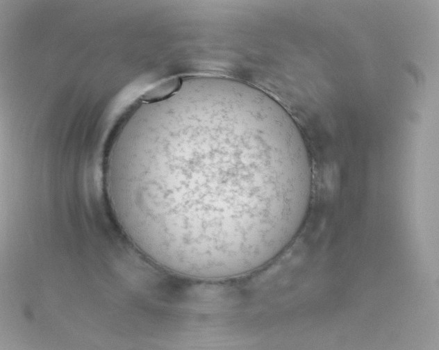 X0000115600294200911241600