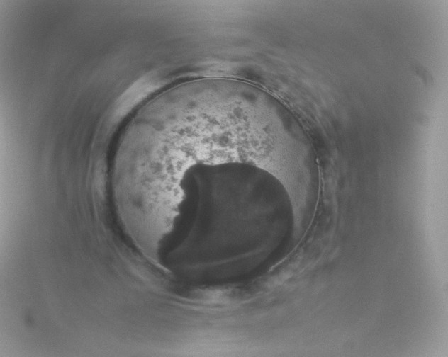 X0000115600295200911241600