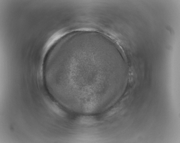 X0000115600296200911241600