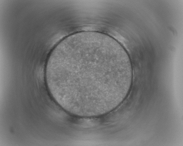 X0000115600297200911241600