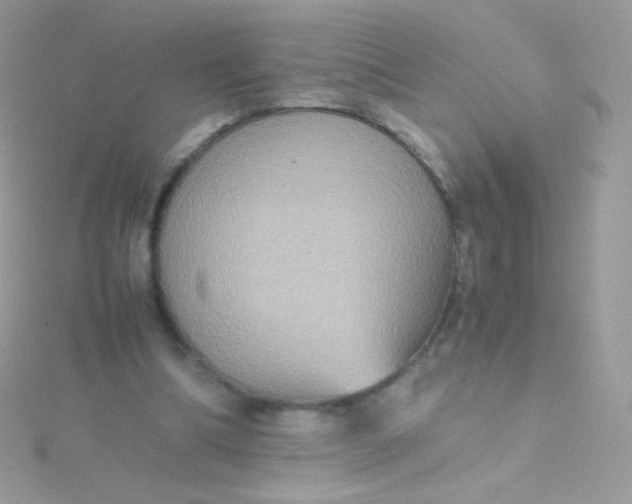 X0000115600298200911241600