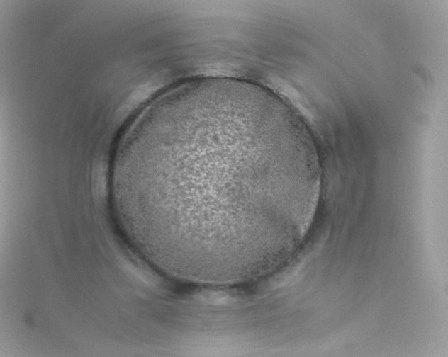 X0000115600299200911241600