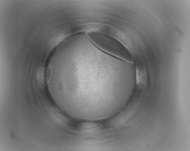 X0000115600300200911241600